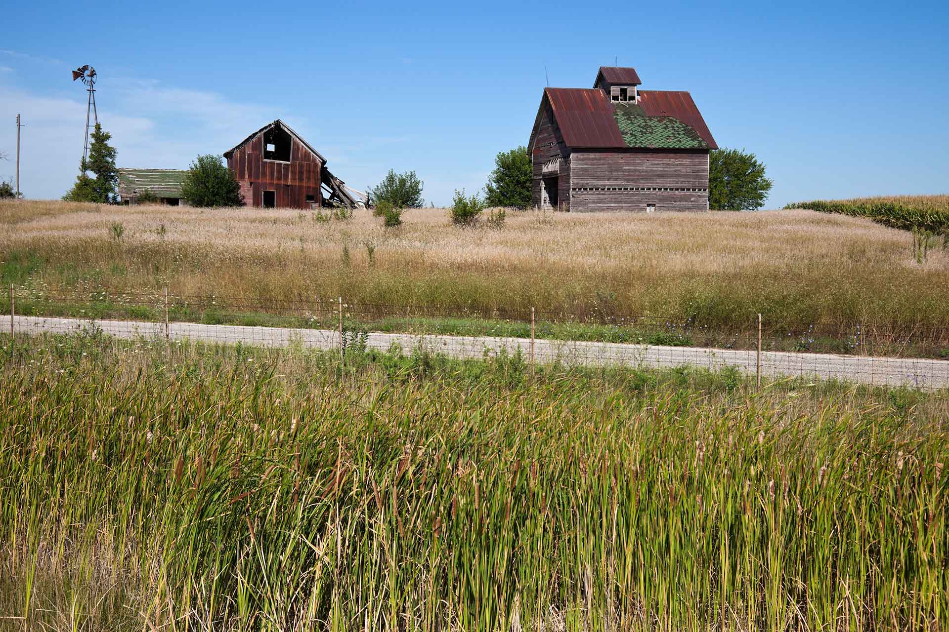 Iowa – Where the Tall Corn Grows