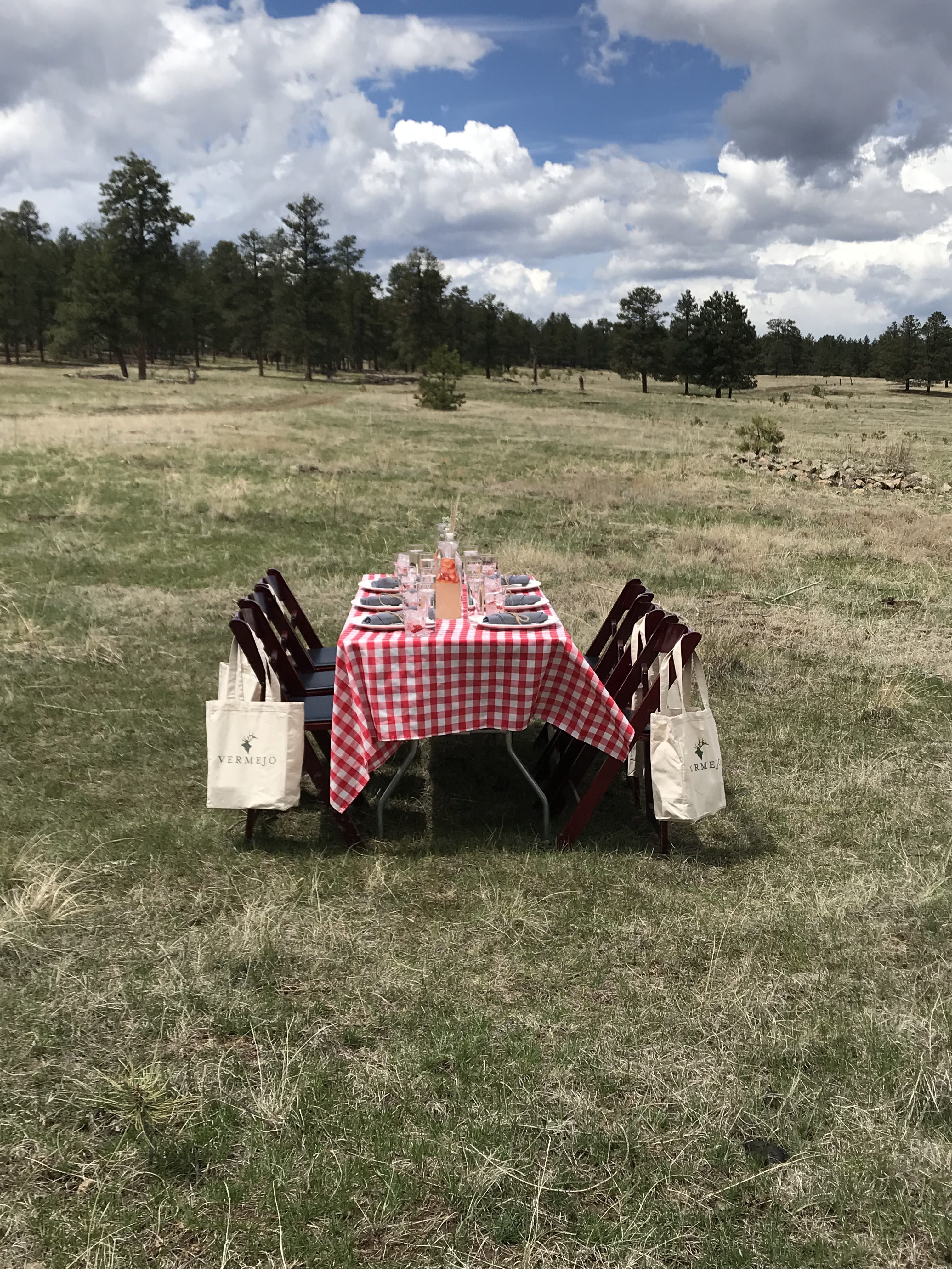 Surprise Picnic Lunch