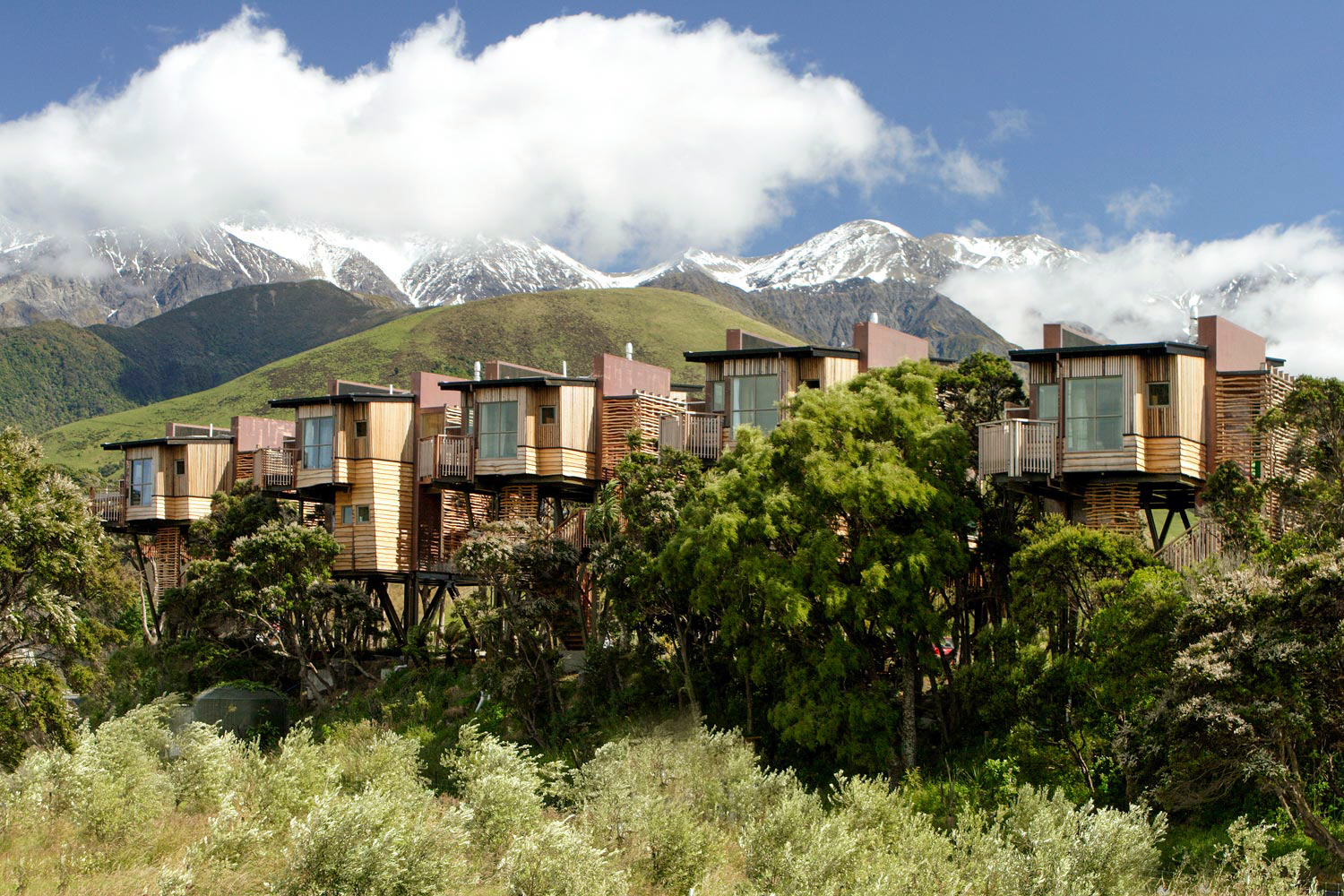 Hapuku Lodge + Tree Houses